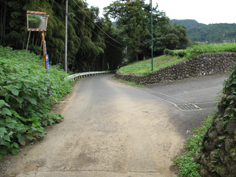 20161007hike (227)